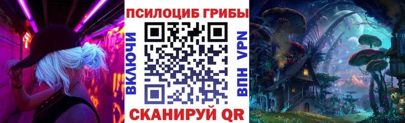 Купить закладки  Собинка  Псилоцибиновые грибы MAGIC MUSHROOMS 